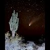 Comet_HB_50mm_bigcactus.jpg